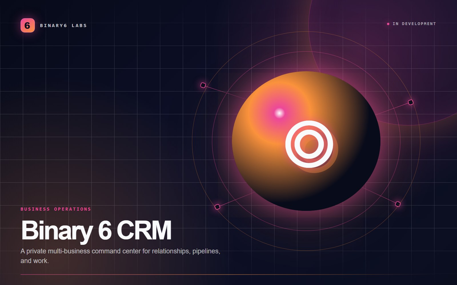 Binary 6 CRM product cover showing an abstract relationship network
